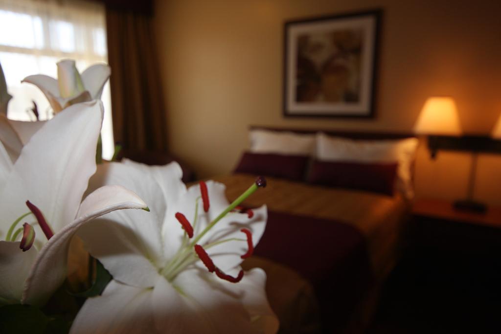 Motel Adam Гатино Стая снимка